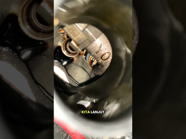 What car inspections are checked?