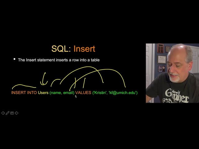 Python - Database Administrator, SQL, Insert - 10 Minutes Videos 058