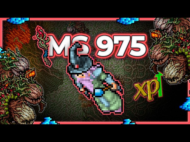 MS 975 Hunt x4 Podzilla Stalk 14.1kk/h Raw + 4.2kk Profit - Tibia Hunt [15.25]
