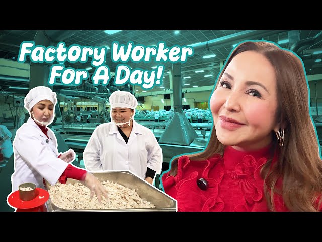 FACTORY TOUR! I Learned To Pack Mackarel & Sardinas! | Small Laude