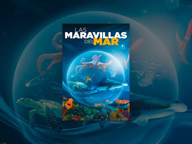Las maravillas del mar