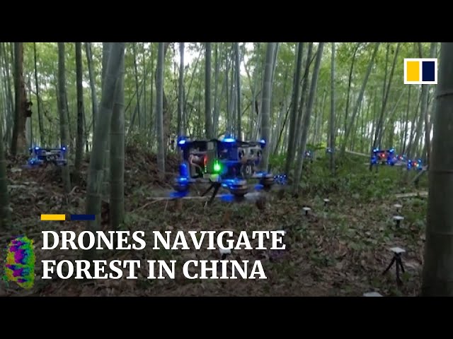 Autonomous drones fly through Chinese bamboo forest