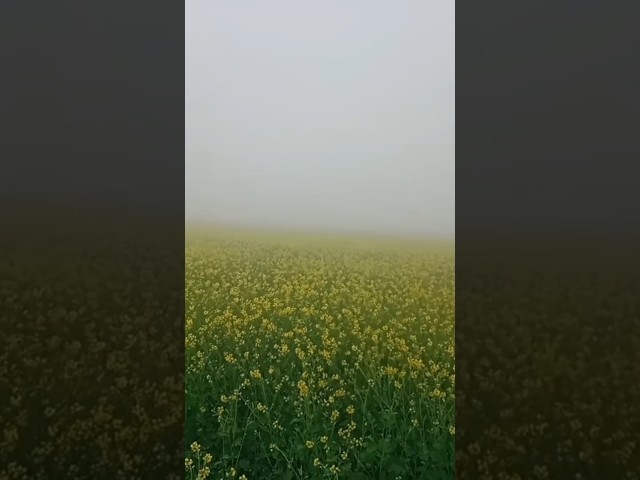 Seet Laher  ❄️🌨️ #shorts #winter #village