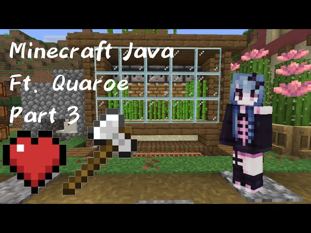 Minecraft Java with Quaroe Part 3