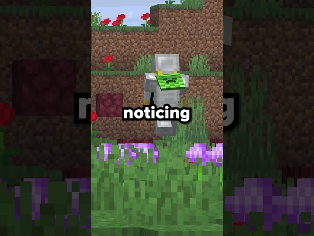 Getting Started On SHARKSMP #minecraft #drdonut