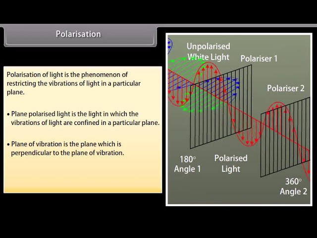Wave Optics II