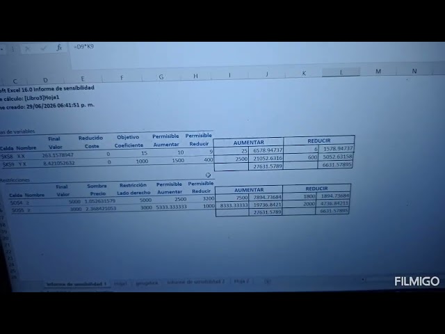 Actividad método Solver sensibilidad 