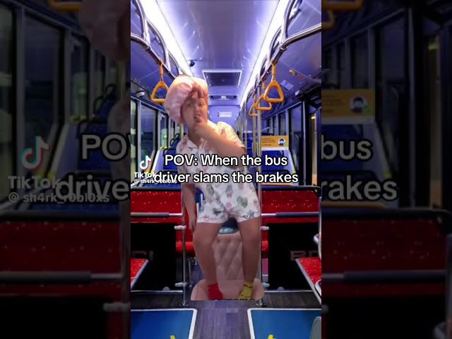 Is this not real Bru 😭 #gorillatag #animalcompanyvr #animalcompany #oculus