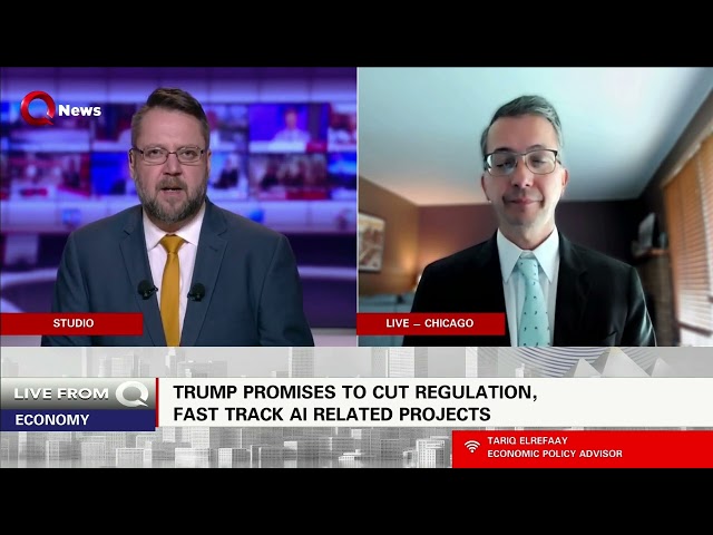 EU aims to invest in AI to ensure tech autonomy from US influence:  Economic expert