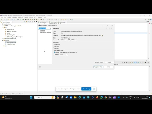 how to open browser using selenium java | automation | testing | SDET
