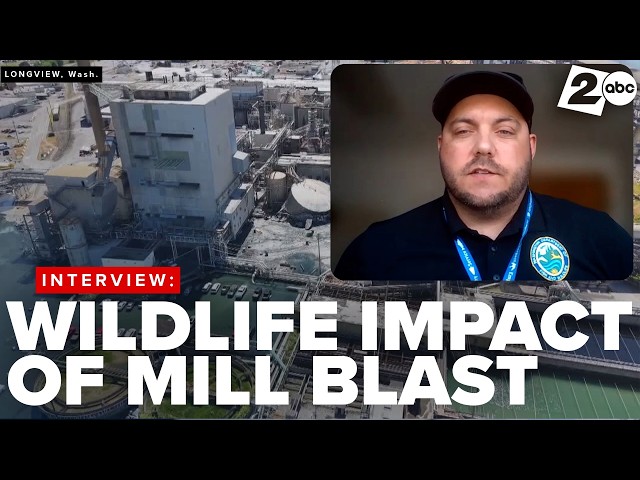 Washington wildlife officials share impact of Longview mill disaster on fish, animals