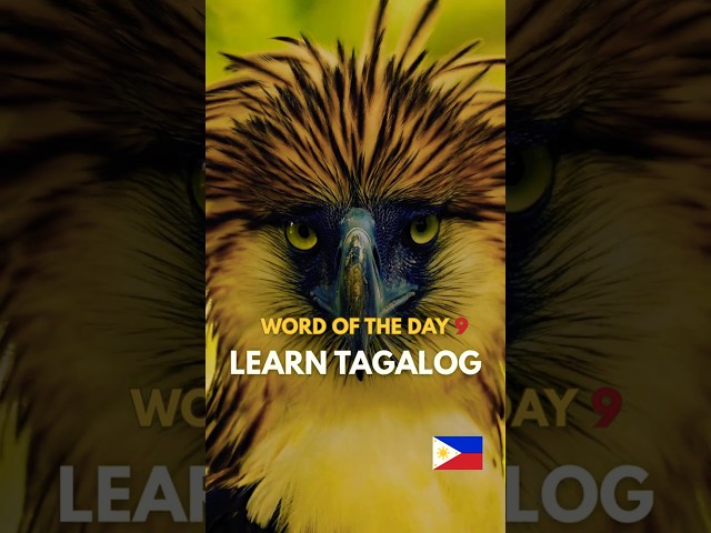 TAGALOG WORD OF THE DAY🤔💭DISCOVER THE BEAUTY OF THE FILIPINO LANGUAGE VIDEO 9