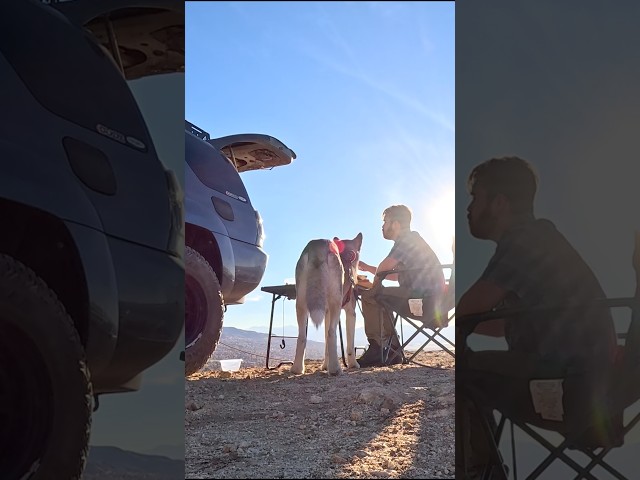 Making Tacos out of 4Runner on a Mountain