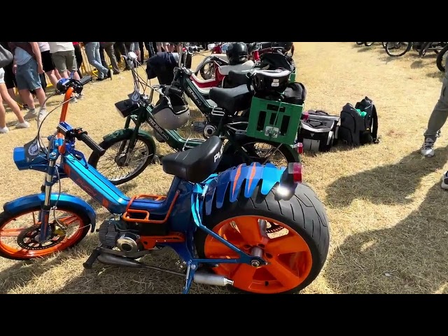 Fole knallerttræf 2024. Måske verdens største knallerttræf i Sønderjylland ￼