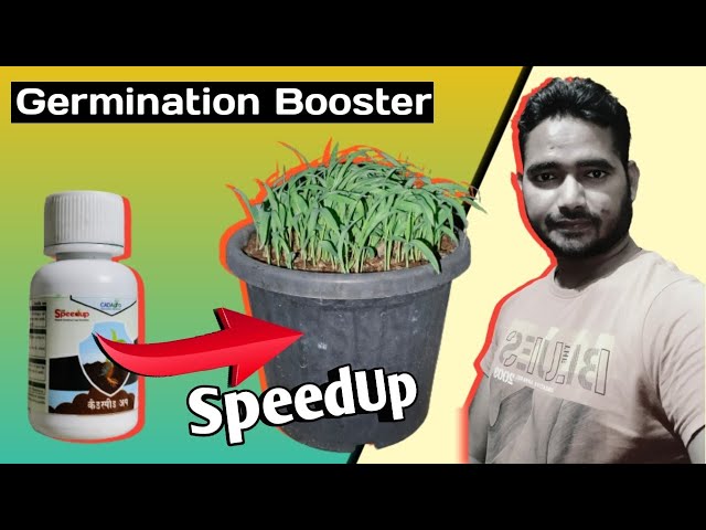 SpeedUp: Germination Booster (CAD Agro Sciences) 😊