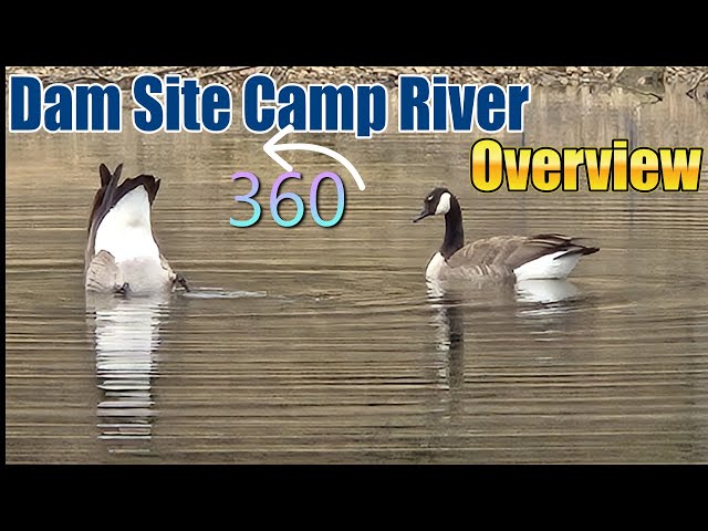 Dam Site River Campground Overview Beaver Lake Arkansas