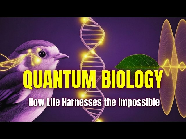 Why You Are Alive: Quantum Biology Explained