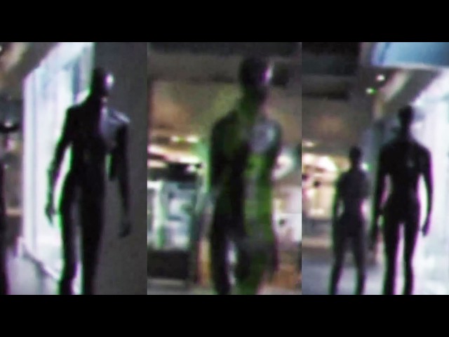 Unknown Creatures Caught On Camera No One Can Explain