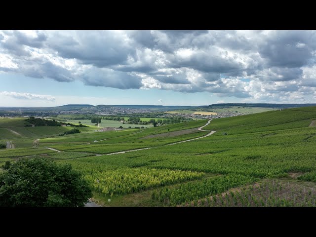 La Marne en été