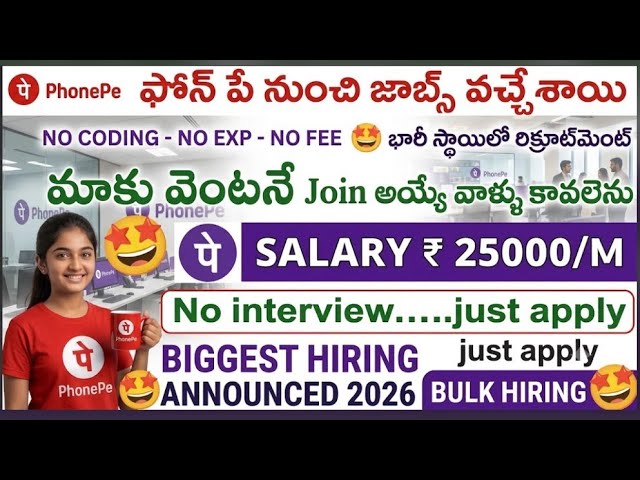 Latest bulk hiring phone pe 2026/any one can apply /mnc jobs/phone pe jobs/mnc jobs 