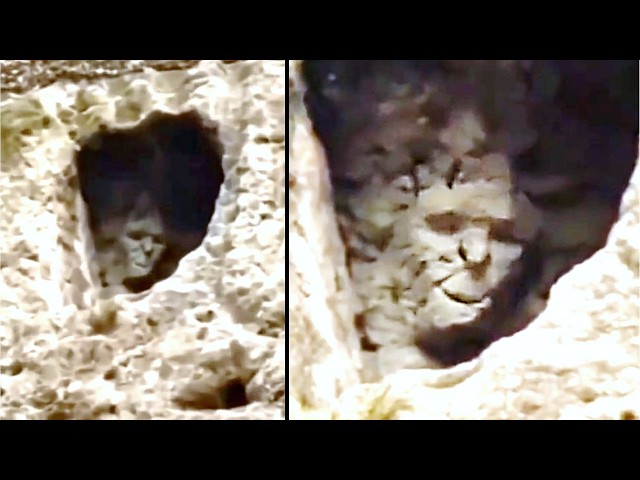 10 Unsolved Mysteries That Defy All Explanation