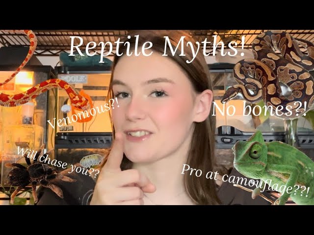 Myths and Assumptions About Reptiles!