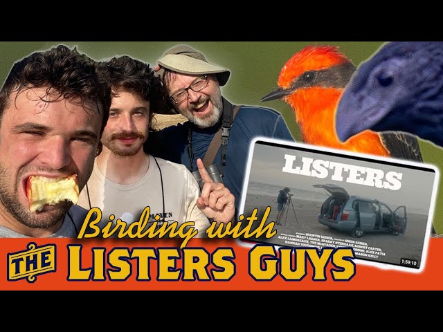 Birding with the LISTERS MOVIE guys: Owen & Quentin — Hockey, Cracker Barrels, Anis and Crossbills
