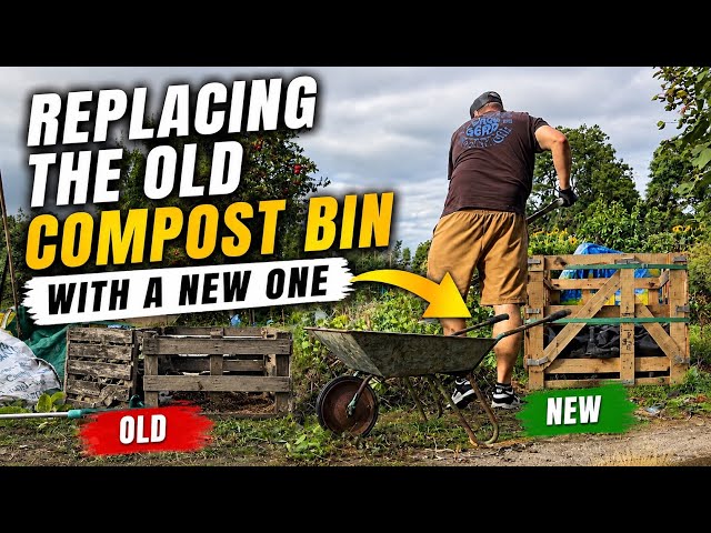 Replacing the old pallet compost bin (attempting)