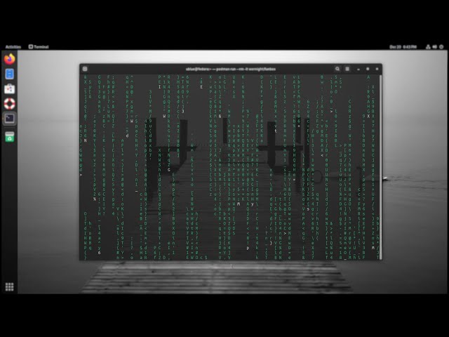 Linux User Enters The Matrix In A Container Live Footage | Linux Memes