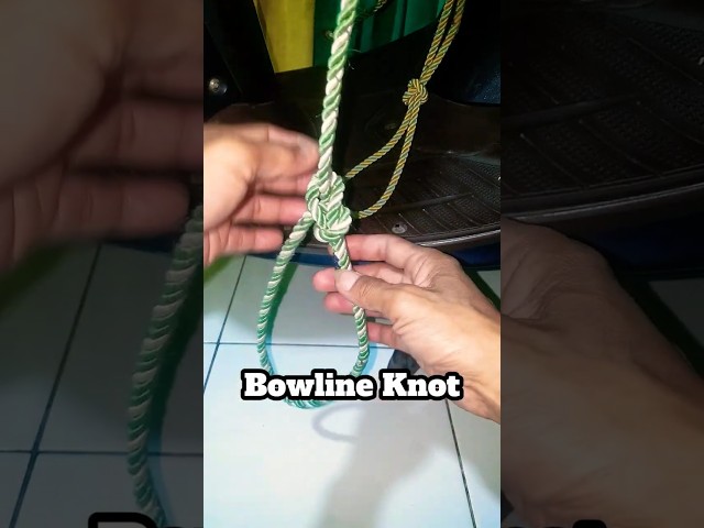 bowline Rope knots. #ropeknots #howtotieknots #knot