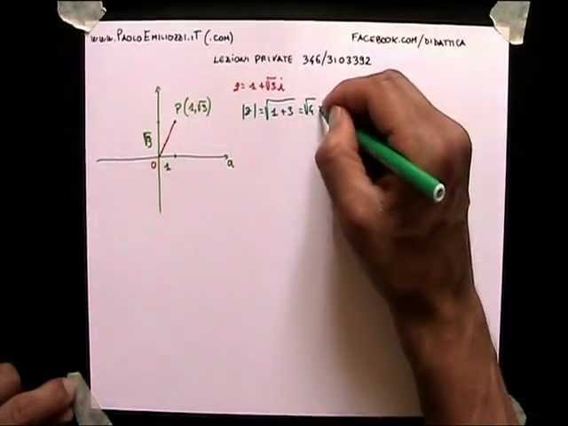 NUMERI COMPLESSI PASSAGGI TRA LE RAPPRESENTAZIONI 237