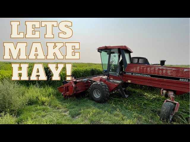 Let’s cut hay! Case 8840!