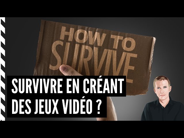 Comment survivre en créant des jeux vidéo ? ➡️ En étant un programmeur polyvalent !