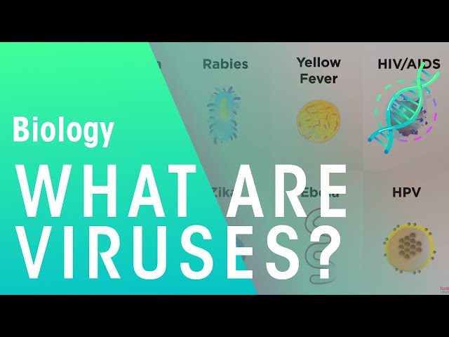What are viruses | Cells | Biology | FuseSchool