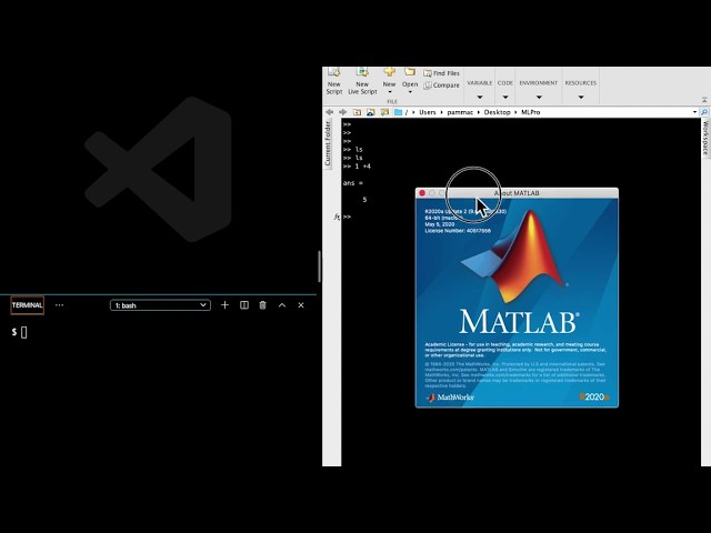 MATLAB desde Visual Studio Code