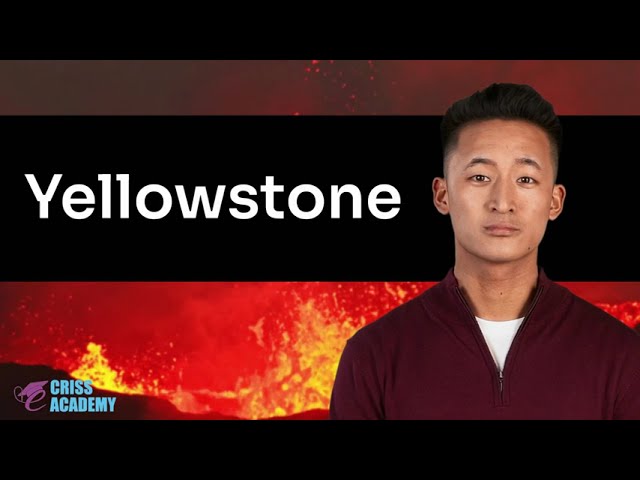 🎥 The Quick Knowledge Drop 🎥