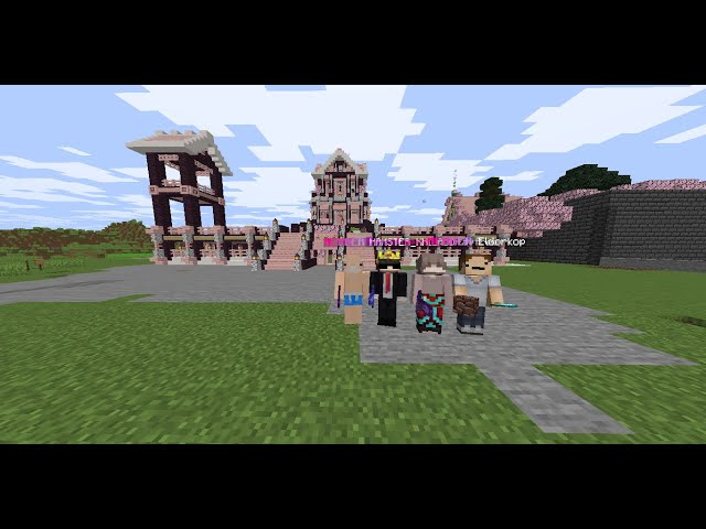 New public Lifesteal Smp