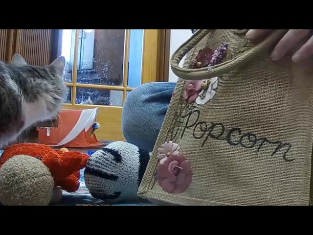 Mailbag 2026-04-04: Popcorn; "I'm watching you Hattie..."