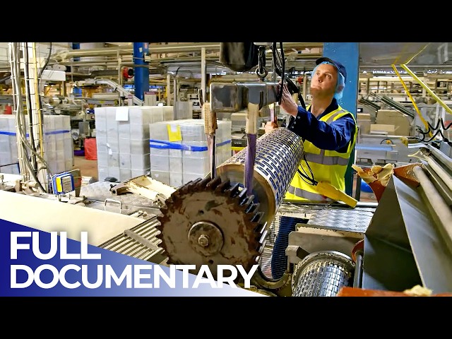 Mega Cookie Factory: How to Produce 40 Million Every Day | FD Engineering