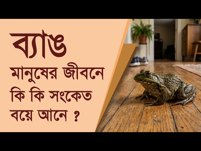 ব্যাঙ ঘরে আসা মানে কি অপঘাতের পূর্বাভাস ? নাকি মহাজগতের শুভ সংকেত ?  The 99.9%