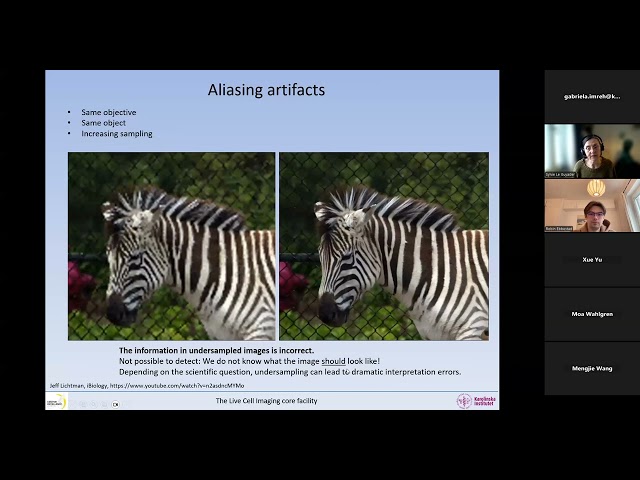 Bridging concepts Optical and digital resolutions, contrast and sampling   part 2