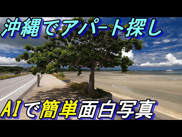 What's the going rate for finding an apartment in Okinawa? Three example images of image processi...