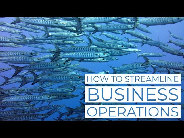 How to Streamline Business Operations
