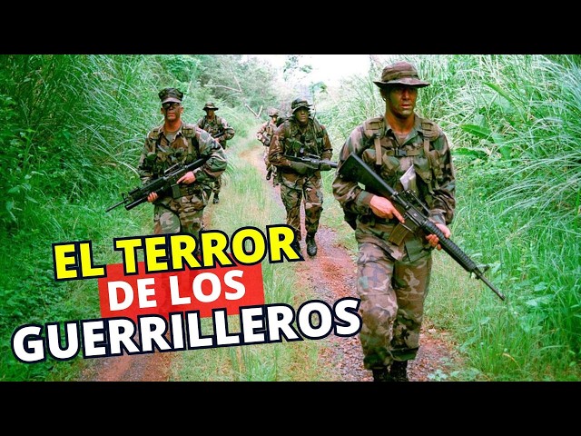 The Venezuelan Command that Colombian guerrillas feared