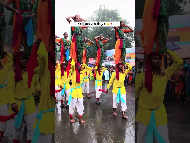 Dangi Nrutya | ડાંગી નૃત્ય | Adiwasi Dance #adivasi #jayjohar