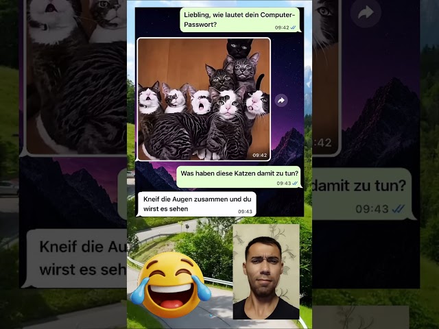 Das Bild hat ein Geheimnis! 😱 #lustig #katzen #lachen #lustigesvideo #lustigeshortsmemes#2