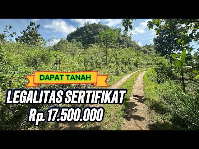 SOLD❌For sale, hilly land filled with trees