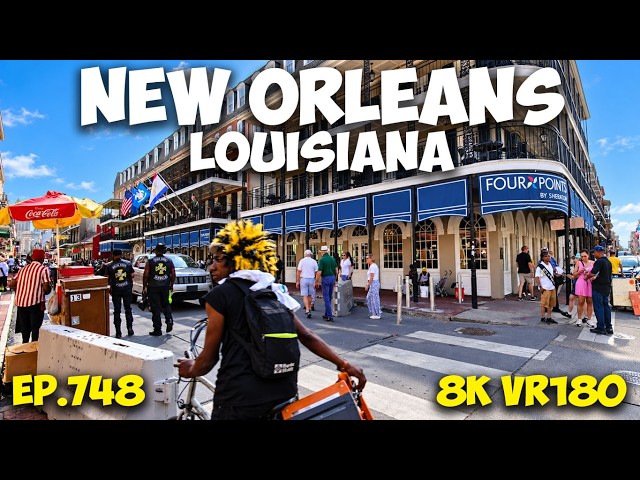 The Wild Lore and History of Toulouse Street ep.748 #8k #vr180 #3d #travel