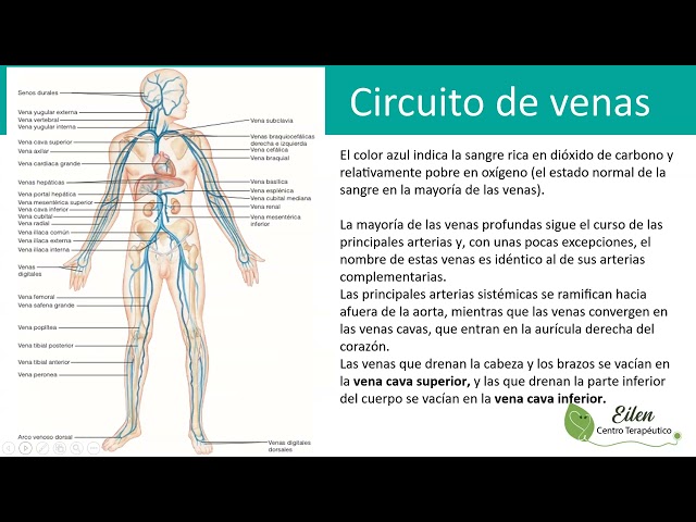 P4.C11.Diplomado: Terapeuta en Medicina Natural