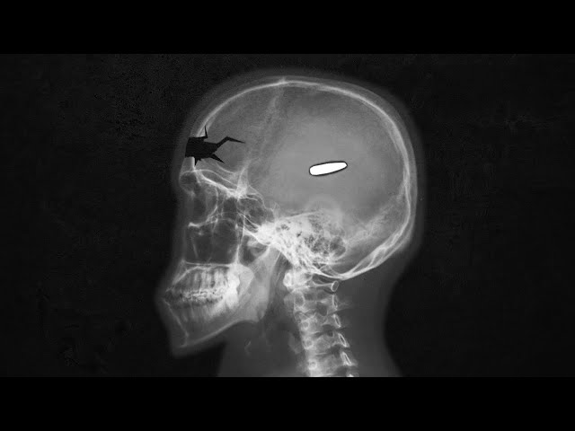 REALLY. BAD. HEADSHOTS.